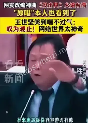 王世坚没出息神曲改编